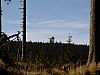 DSC05963.jpg